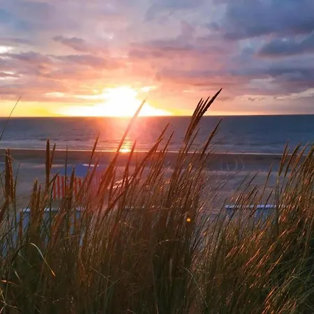 Tamalone Classic Close To The Dune Reserve Villa Koksijde